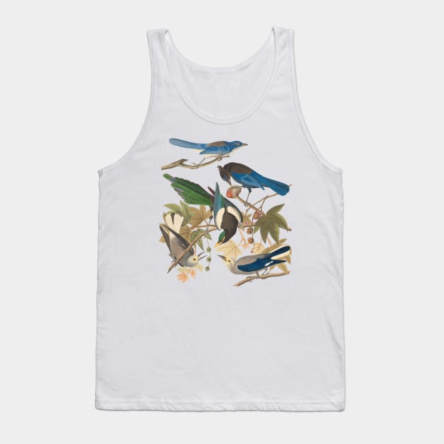 Birds of John James Audubon Tank Top by KeeganCreations